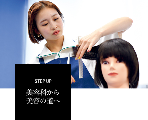 美容科から美容の道へ