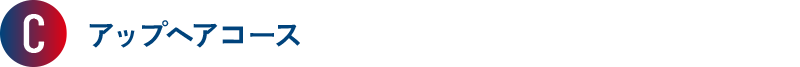 C アップヘアコース