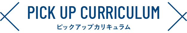 ピックアップカリキュラム